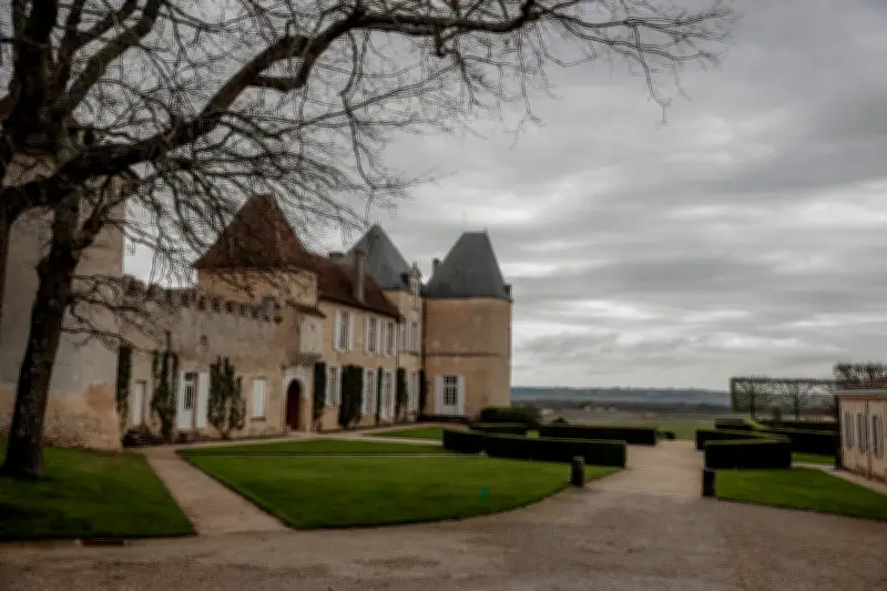 Bouteille de Château d'Yquem 1811 estimée entre 60 000 et 80 000 euros aux enchères