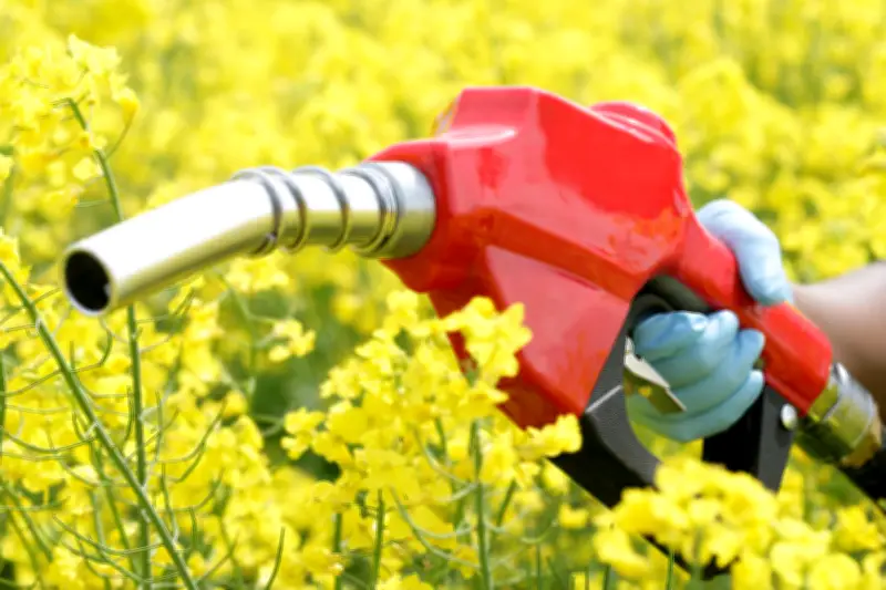 Bras de fer commercial entre l'UE et l'Indonésie sur les biocarburants