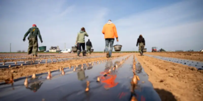 Bretagne : saisonniers refusent mauvaises conditions de travail