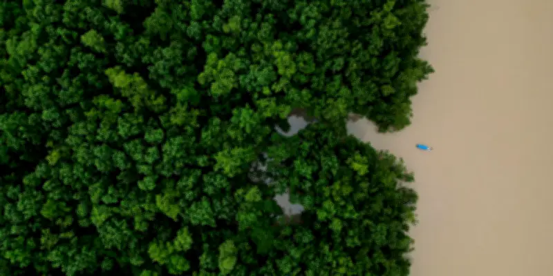 Brésil : déforestation au plus bas depuis 2019 malgré des menaces