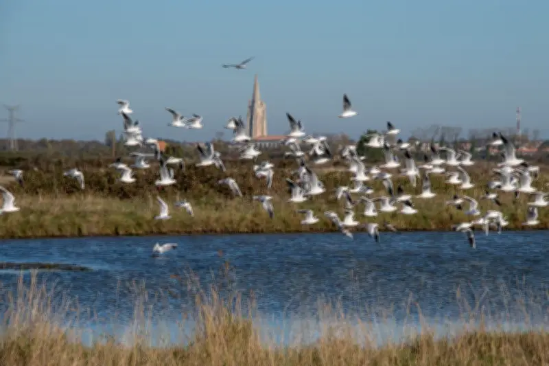 Bruxelles consulte sur l'avenir des lois de protection de la nature