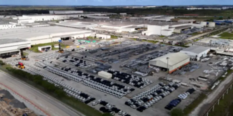 BYD relance l'économie du Nord-Est brésilien à marche forcée