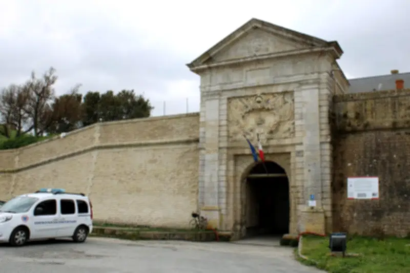Cafards en prison : FO Justice dénonce une invasion à Saint-Martin-de-Ré