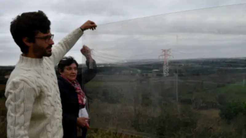 Camargue : menace d'un "Notre-Dame-des-landes bis" face au projet THT