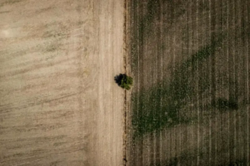 Canicule: champs brûlent, politiques agricoles inadaptées