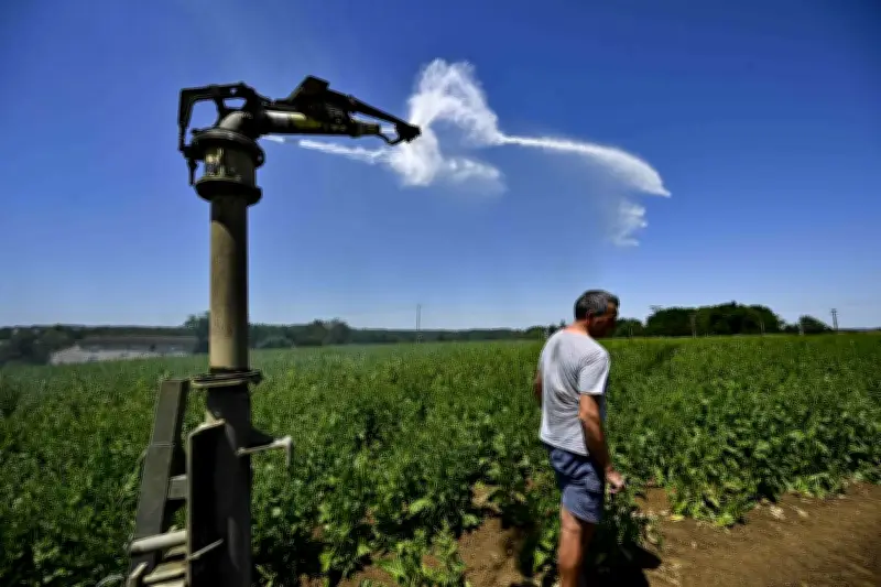 Canicule de mai : agriculteurs du Lot-et-Garonne en alerte