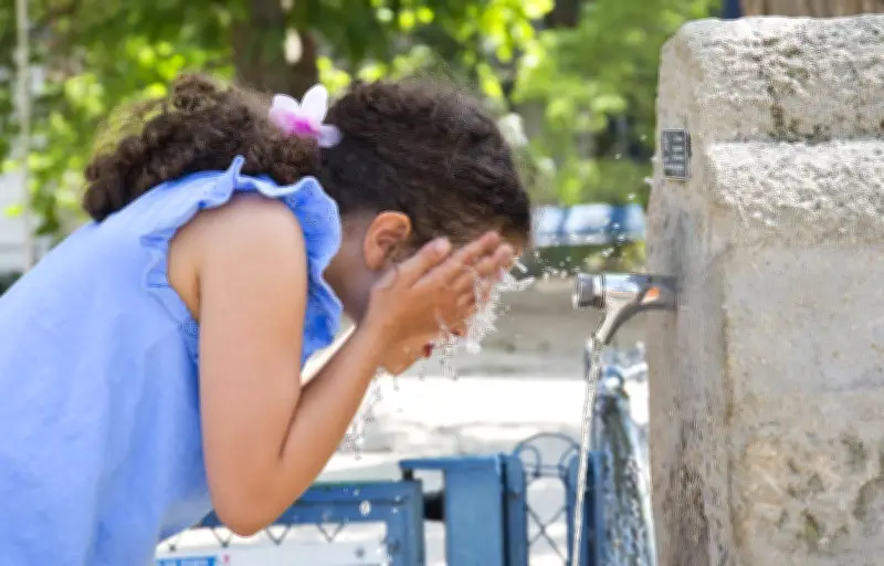 Canicule historique : 17 départements en alerte orange, des records de chaleur battus