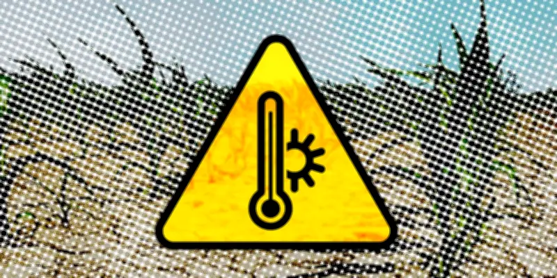 Canicule : vigilance jaune prolongée jusqu'à lundi dans le Finistère, une première en mai