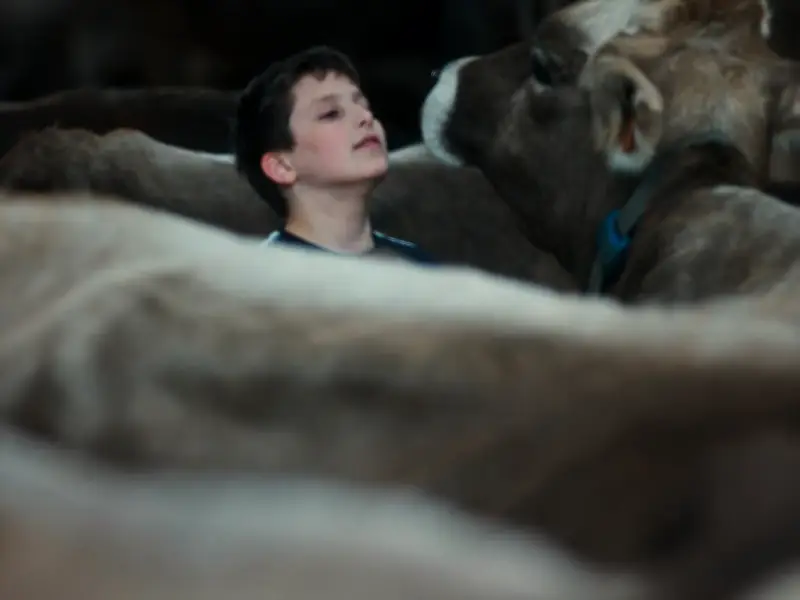 Cannes 2026 : le docu sur Gabin de Maxence Voiseux émeut la Croisette