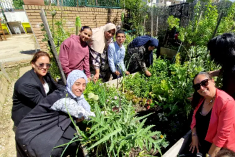 À Cannes, les jardins partagés créent du lien social au quartier de la Frayère
