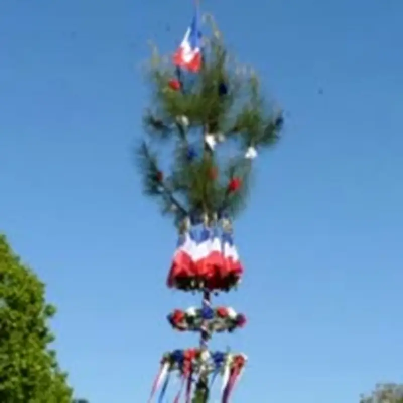 Captieux célèbre la tradition gasconne de la Maïade le 29 mai