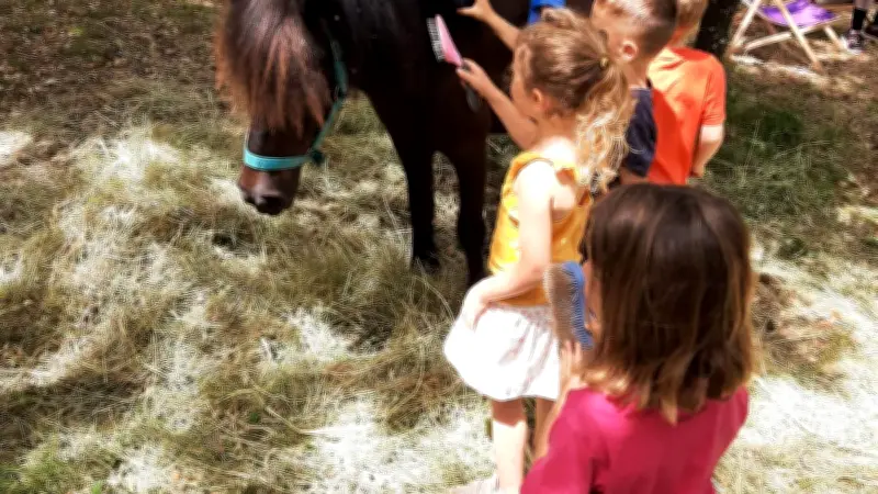 Castries : une journée petite enfance gratuite au bois de la Guesse