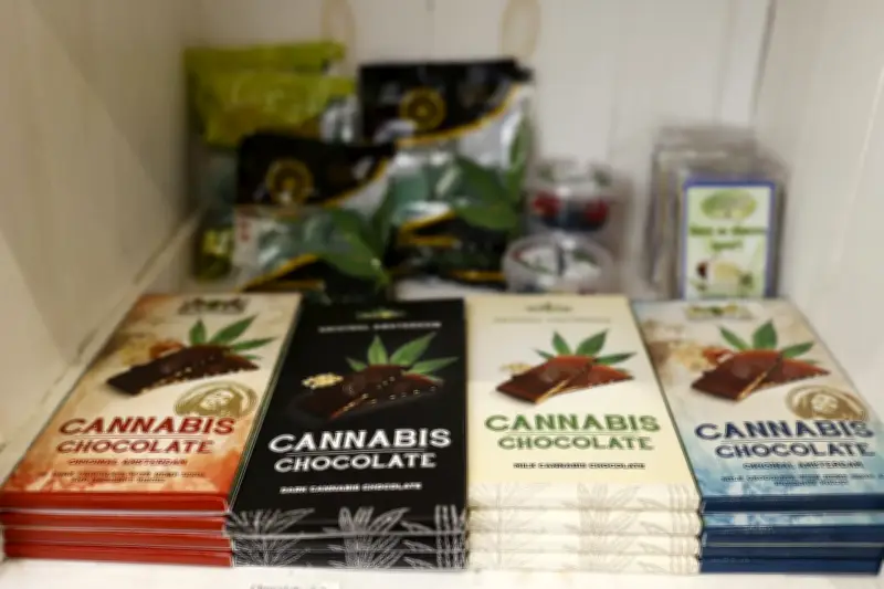 CBD alimentaire interdit en France : bonbons, huiles et tisanes visés