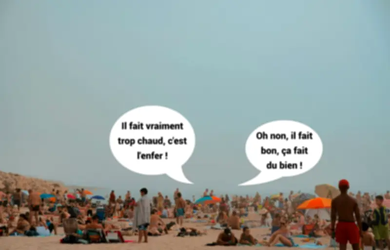 Ces amateurs de canicule : pourquoi ils adorent la chaleur quand on souffre