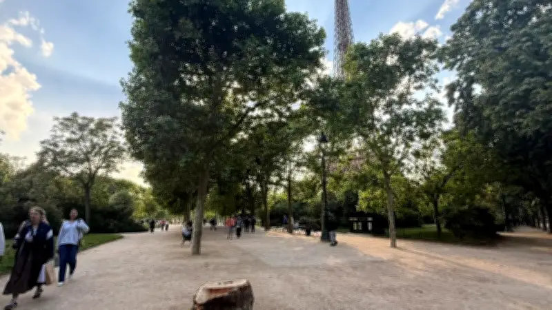 Champ-de-Mars : 60 arbres abattus en trois ans, le poumon vert de Paris menacé ?
