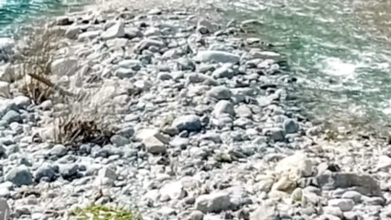 Championnat de France de pêche à la truite à Val-d'Aigoual