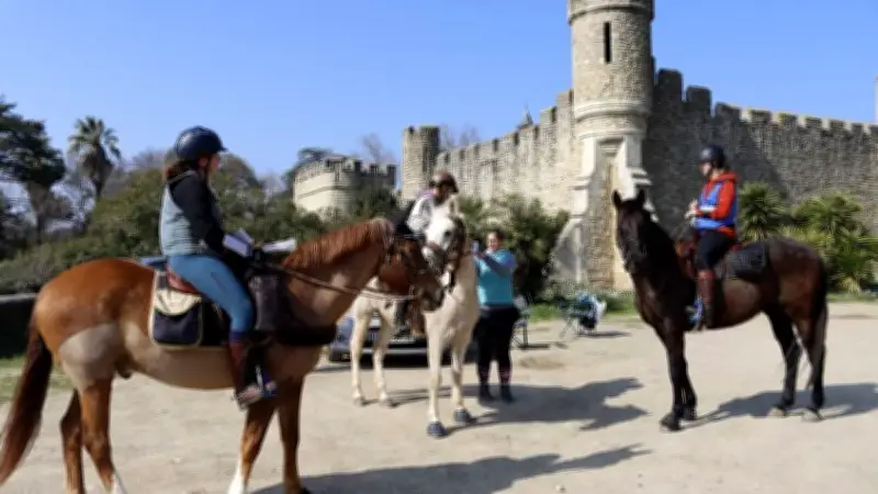 Championnat régional de Trec à L'Écurie du Sud à Magalas