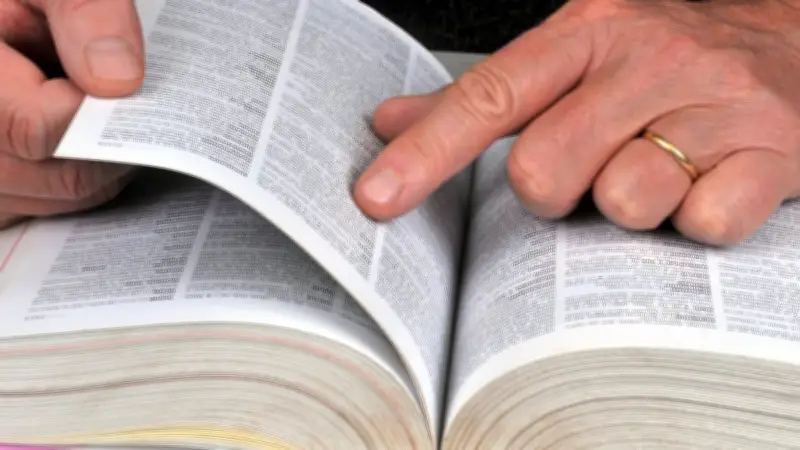 Charo, incel, prompter : 150 nouveaux mots dans Larousse et Robert