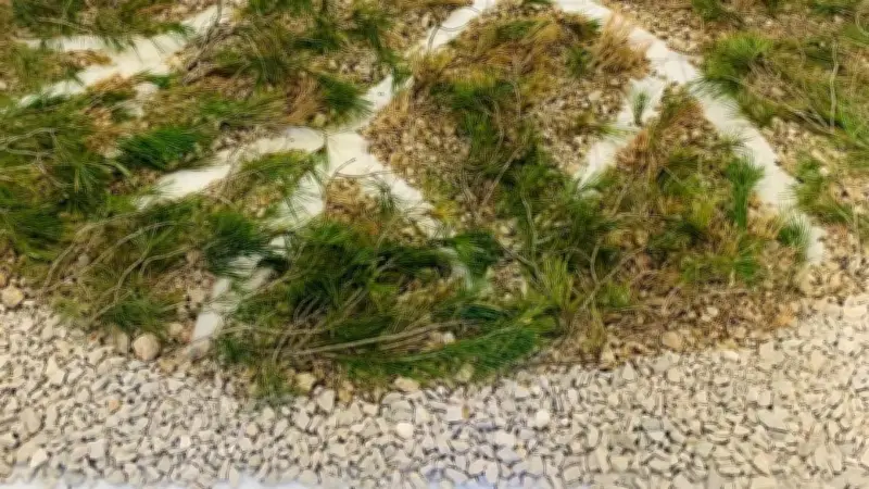 Chassé-croisé artistique à la Maison d'Emma : mémoire et nature