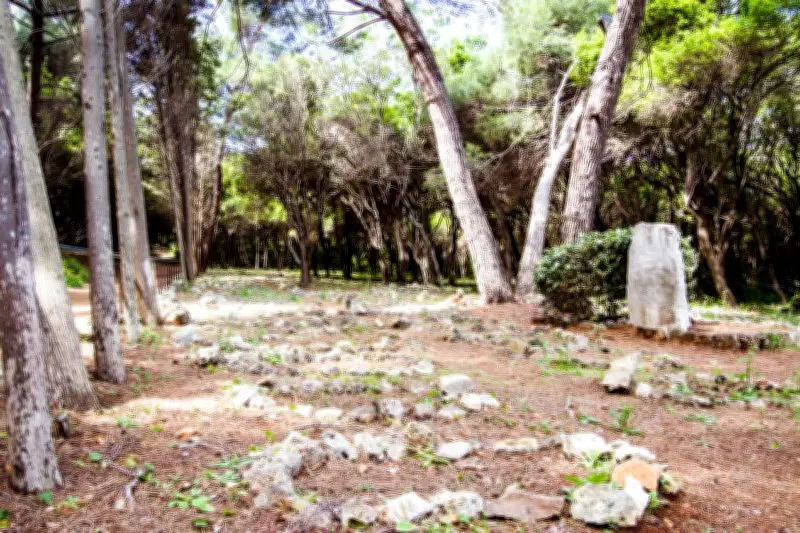 Cimetière musulman de Sainte-Marguerite : un lieu de mémoire en devenir