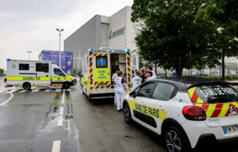 Cinq Français évacués du navire MV Hondius après un foyer d'hantavirus