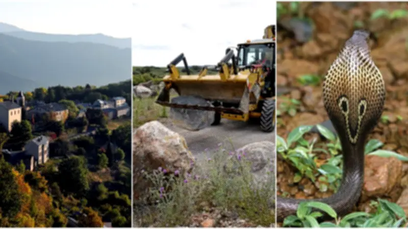 Cobra en liberté, teknival menaçant, Lozère touristique : l'actu régionale