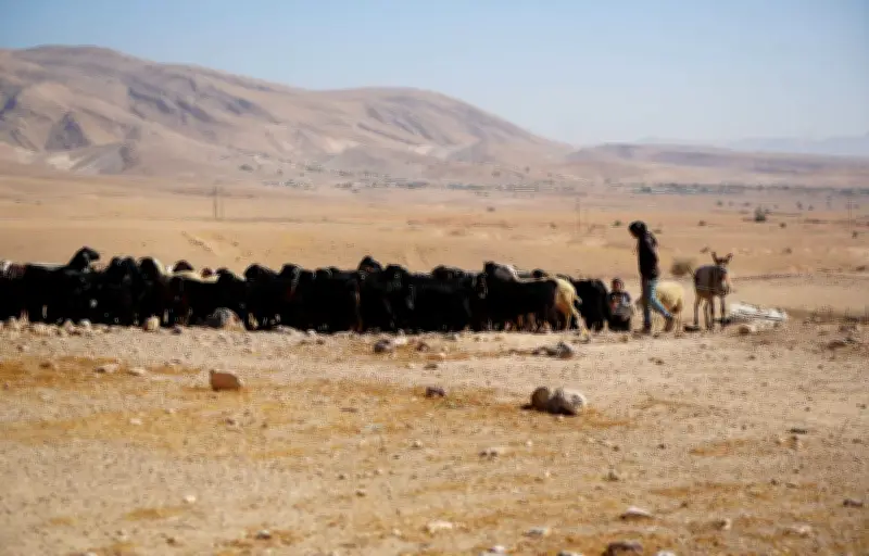 Colonisation par pâturage en Cisjordanie : l'UE sanctionne, mais insuffisamment selon les ONG