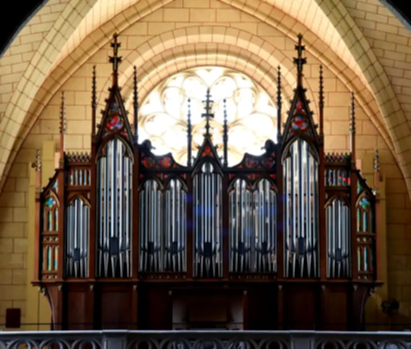 Concert orgue et cor à Saint-Macaire : naissance d'une route de l'orgue