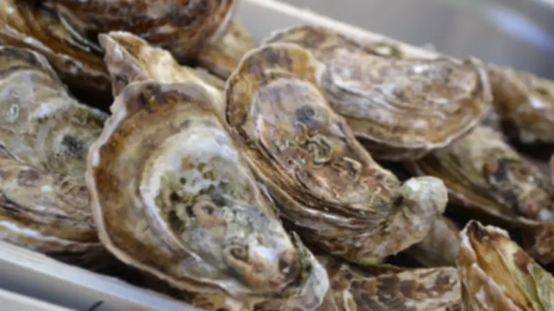 Conch'Party : pique-nique géant aux huîtres de Thau sur l'ancien site Lafarge