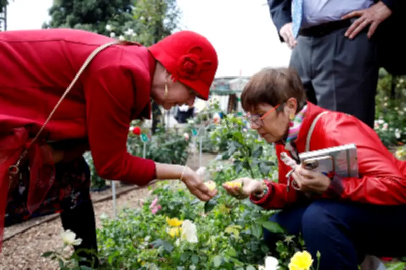 Concours de roses à Monaco : experts et public jugent 70 variétés
