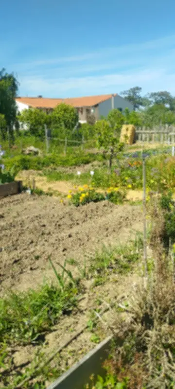 Concours d'épouvantails poétiques aux Jardins partagés des Ménonnières