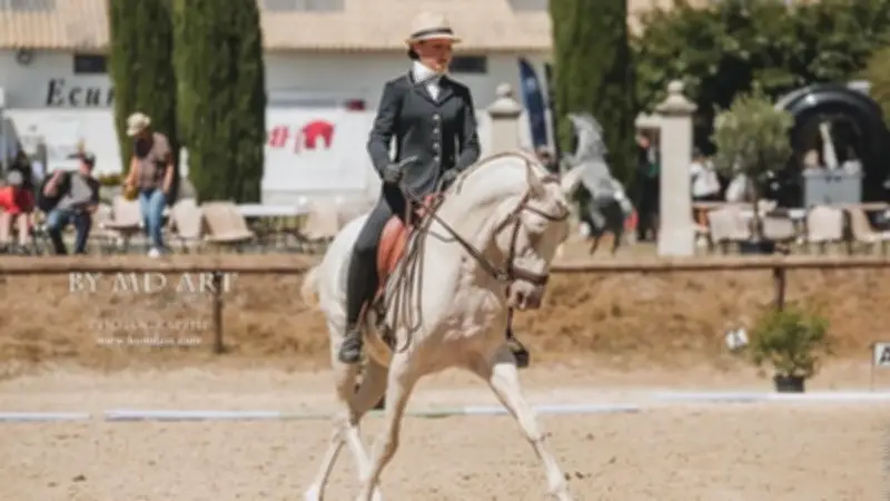 Concours national d'équitation au haras de Castries du 15 au 17 mai