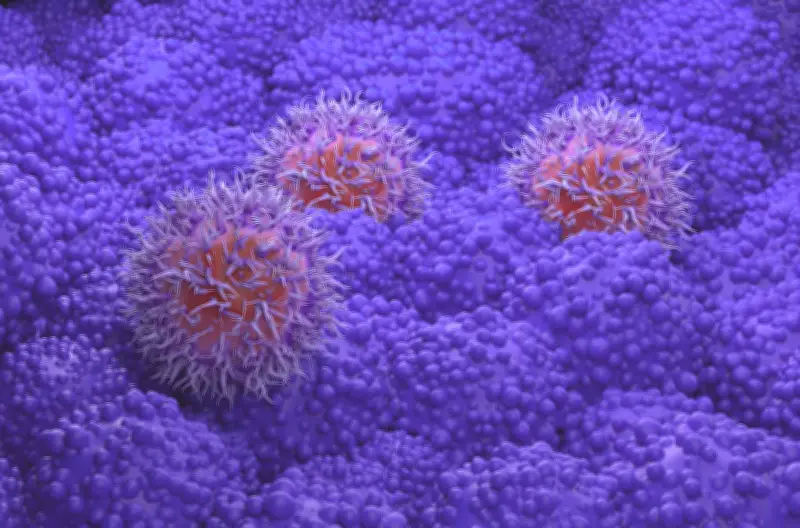 Congrès Asco 2026 : les grandes annonces contre le cancer