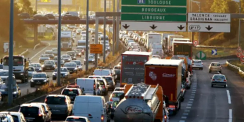 Conseil constitutionnel : décision attendue sur les ZFE et l'artificialisation des sols