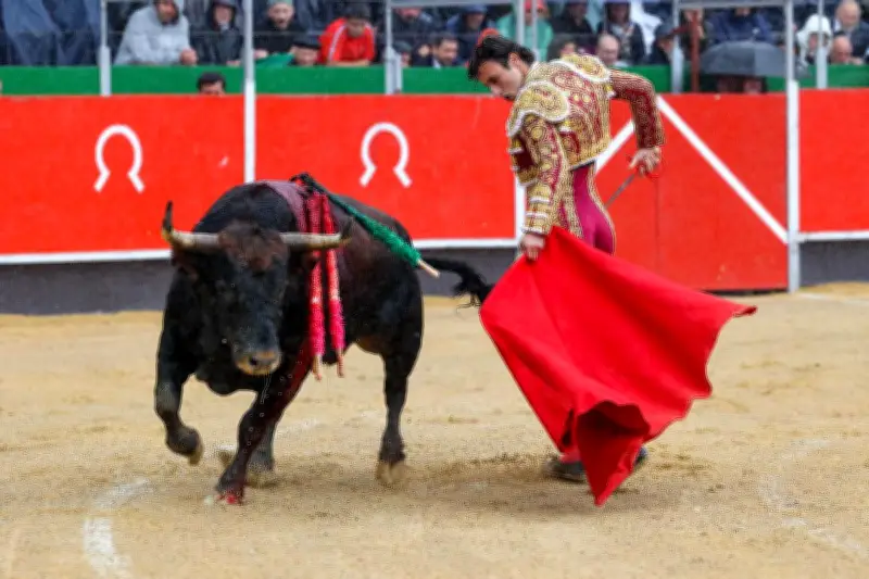 Corrida à La Brède : la justice suspend le spectacle taurin pour 2026
