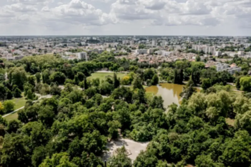 Course aux étoiles à Bordeaux : marche solidaire contre le cancer du cerveau
