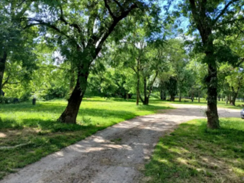 Coutras célèbre la Fête de la nature avec une randonnée et des ateliers
