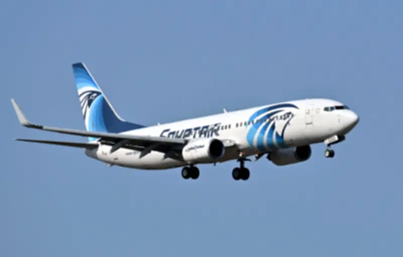Crash d'EgyptAir : le parquet de Paris requiert un non-lieu