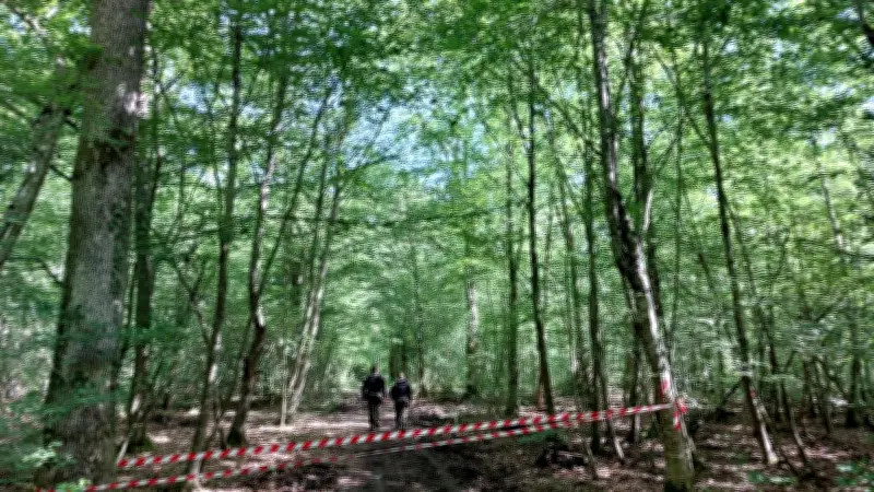 Crash d'un Fouga Magister en forêt de Fontainebleau : l'enquête se poursuit