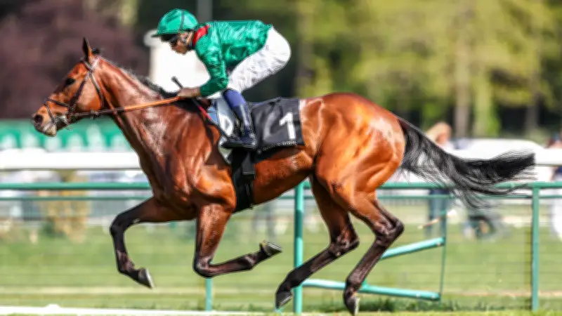 Daryz vise un nouveau Groupe I à ParisLongchamp ce jeudi