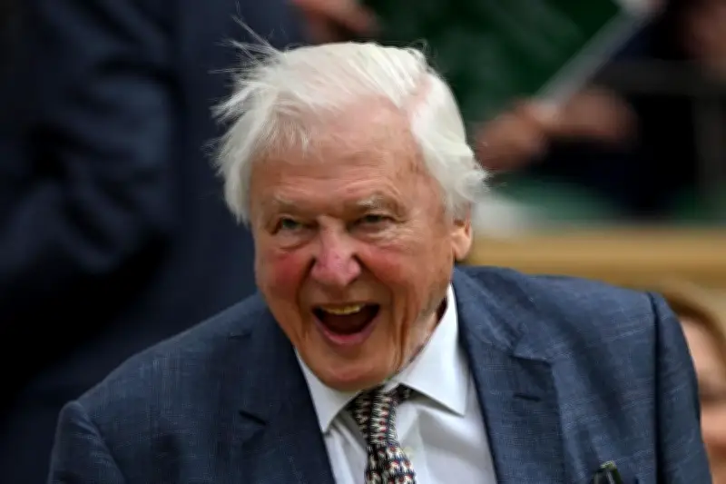 David Attenborough fête ses 100 ans : le conteur de la nature icône mondiale