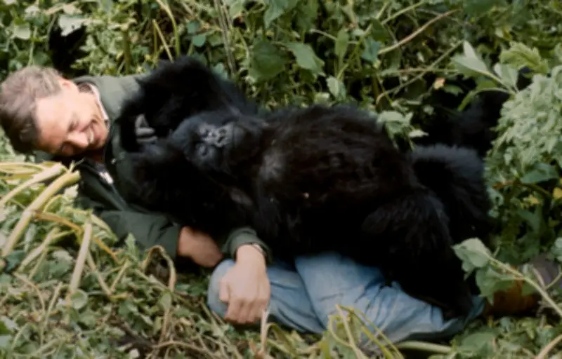 David Attenborough fête ses 100 ans : retour sur une vie dédiée à la nature