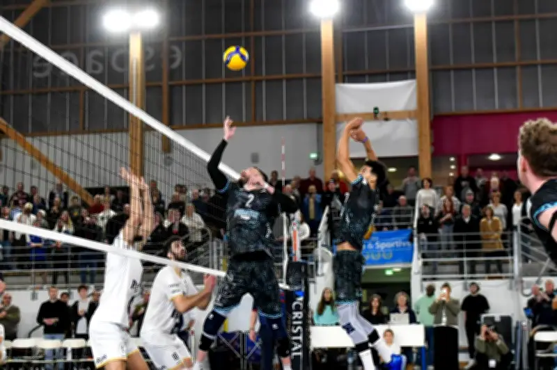 David Guelle : dernier match pro à Royan avant une montée historique en Ligue A