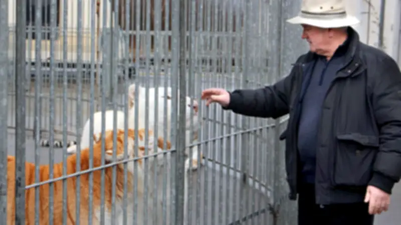 Décès du dompteur Mario Masson, condamné pour maltraitance sur ses tigres
