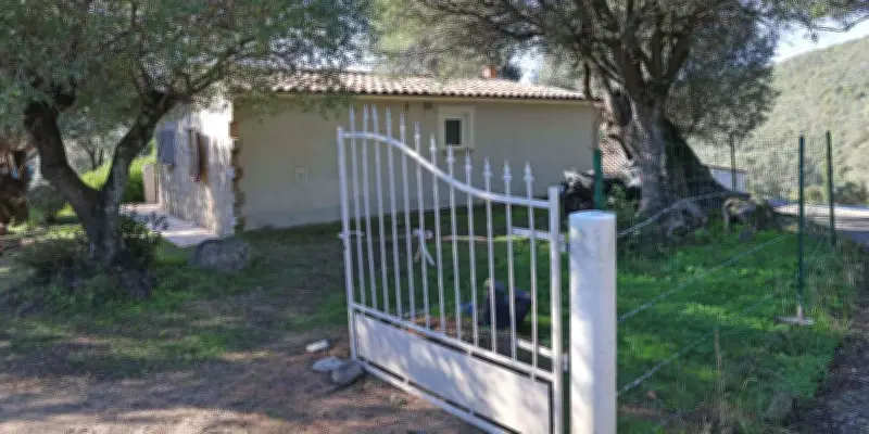 De 12 à 14 ans requis contre Mickaël Ettori, lieutenant du gang du Petit Bar