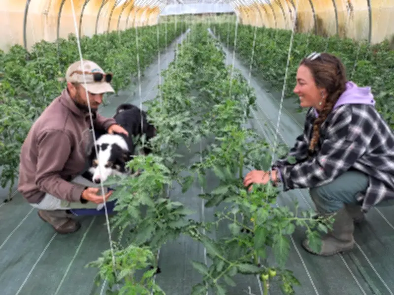 De la couveuse à l'installation : Enzo et Roxanne créent leur ferme bio à Saubion