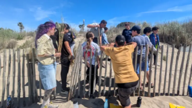 Des écoliers du Grau-du-Roi plantent des oyats pour protéger les dunes