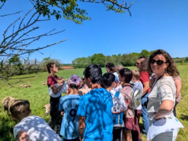 Des collégiens de Lanouaille transforment la laine locale en pantoufles