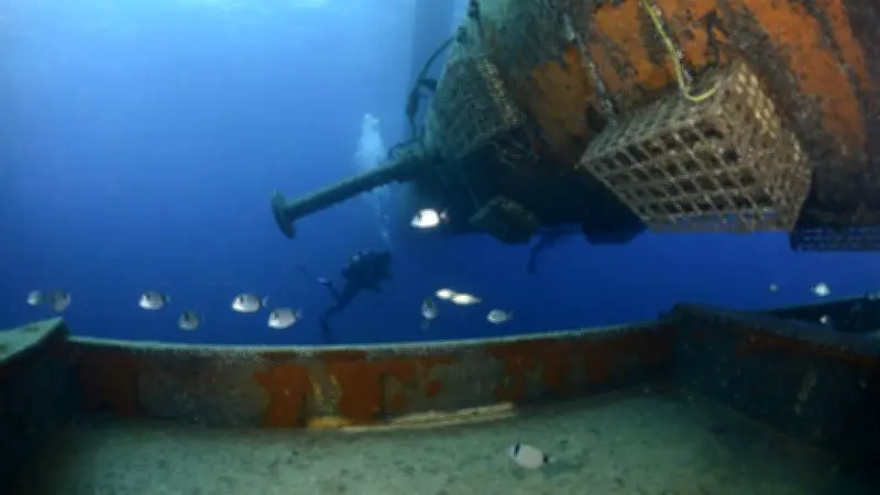 Des nurseries sous-marines installées sur une éolienne flottante au Barcarès