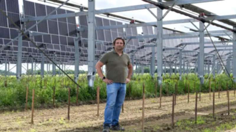Des ombrières solaires protègent les vignes du gel et de la chaleur